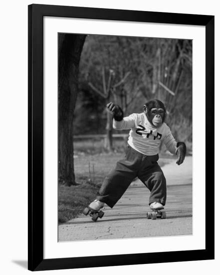 Photographic Print, , large