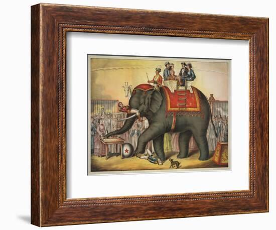 Performing Elephant-Vintage Reproduction-Framed Art Print