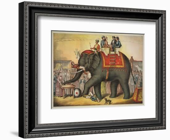 Performing Elephant-Vintage Reproduction-Framed Art Print