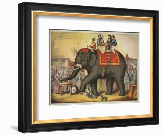 Performing Elephant-Vintage Reproduction-Framed Art Print