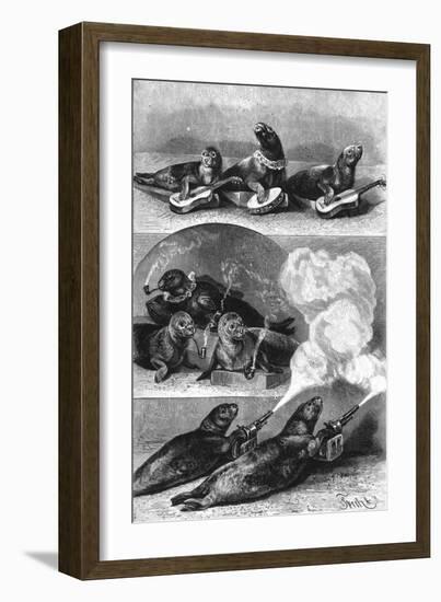 Performing Seals at a Circus, C. 1890-null-Framed Art Print