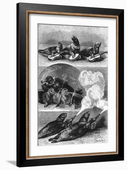 Performing Seals at a Circus, C. 1890-null-Framed Art Print