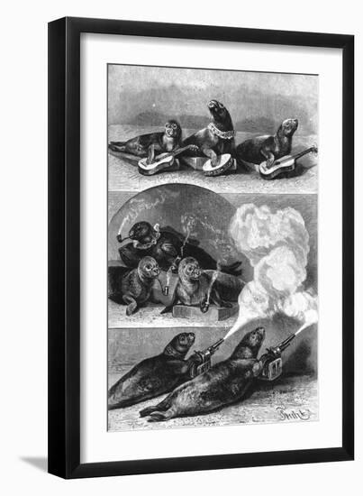 Performing Seals at a Circus, C. 1890-null-Framed Art Print