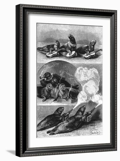 Performing Seals at a Circus, C. 1890-null-Framed Art Print