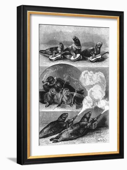 Performing Seals at a Circus, C. 1890-null-Framed Art Print