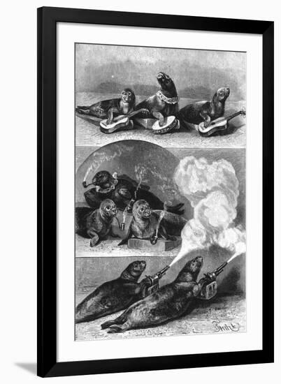 Art Print, , large