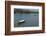 Perfume River, Hue, Vietnam, Indochina, Southeast Asia, Asia-Bruno Morandi-Framed Photographic Print