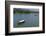 Perfume River, Hue, Vietnam, Indochina, Southeast Asia, Asia-Bruno Morandi-Framed Photographic Print