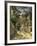 Pergola Harvest-Peder Monsted-Framed Giclee Print