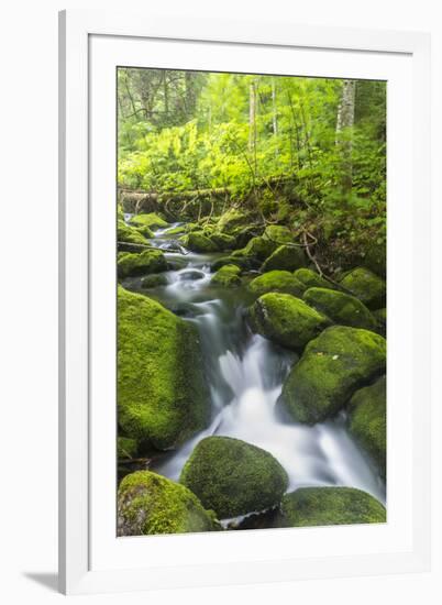 Perham Stream on Lone Mountain Near the Appalachian Trail in Mount Abram Township, Maine-Jerry and Marcy Monkman-Framed Photographic Print