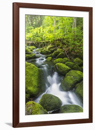 Perham Stream on Lone Mountain Near the Appalachian Trail in Mount Abram Township, Maine-Jerry and Marcy Monkman-Framed Photographic Print