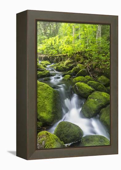 Perham Stream on Lone Mountain Near the Appalachian Trail in Mount Abram Township, Maine-Jerry and Marcy Monkman-Framed Premier Image Canvas