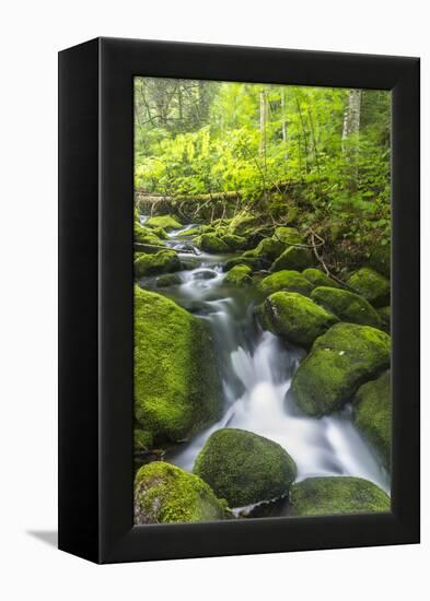 Perham Stream on Lone Mountain Near the Appalachian Trail in Mount Abram Township, Maine-Jerry and Marcy Monkman-Framed Premier Image Canvas