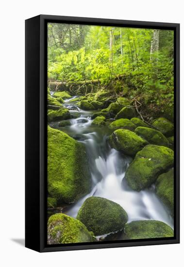 Perham Stream on Lone Mountain Near the Appalachian Trail in Mount Abram Township, Maine-Jerry and Marcy Monkman-Framed Premier Image Canvas