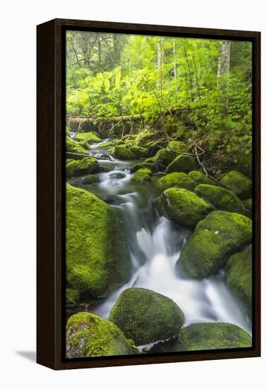 Perham Stream on Lone Mountain Near the Appalachian Trail in Mount Abram Township, Maine-Jerry and Marcy Monkman-Framed Premier Image Canvas