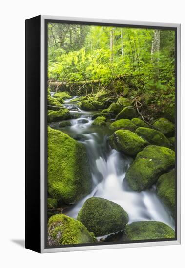 Perham Stream on Lone Mountain Near the Appalachian Trail in Mount Abram Township, Maine-Jerry and Marcy Monkman-Framed Premier Image Canvas