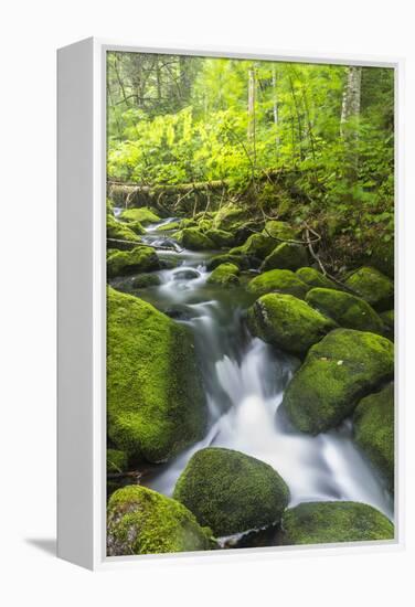 Perham Stream on Lone Mountain Near the Appalachian Trail in Mount Abram Township, Maine-Jerry and Marcy Monkman-Framed Premier Image Canvas