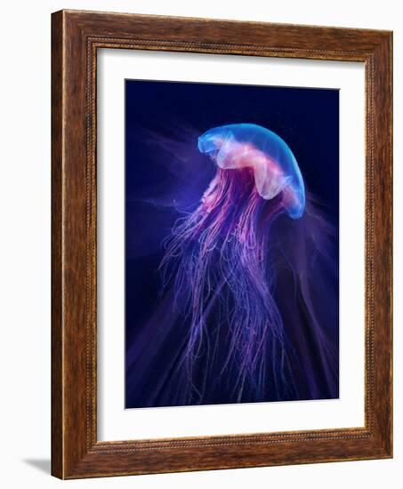 Peri Gelatinous II-Steve Hunziker-Framed Art Print