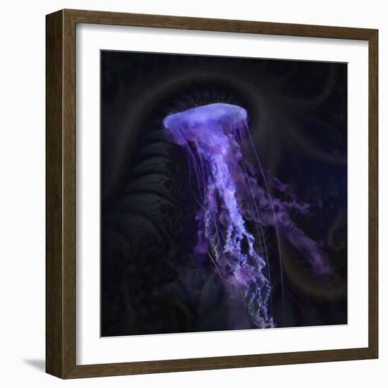 Peri Gelatinous IV-Steve Hunziker-Framed Art Print