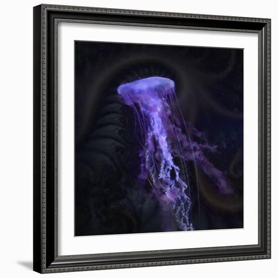 Peri Gelatinous IV-Steve Hunziker-Framed Art Print