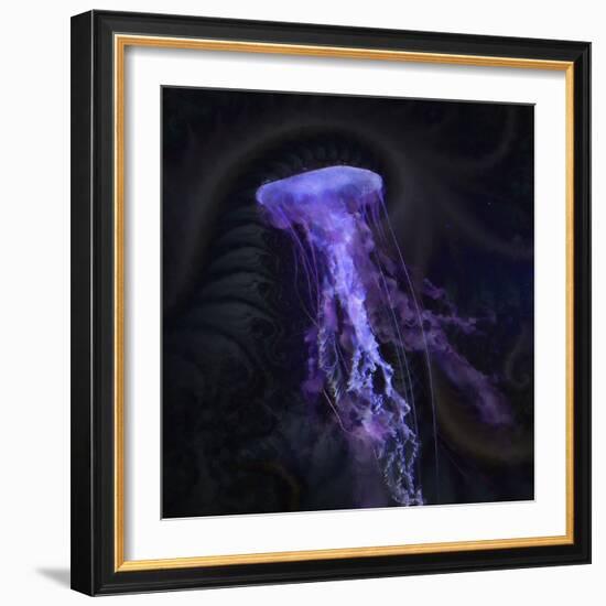 Peri Gelatinous IV-Steve Hunziker-Framed Art Print