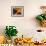 Periclemenes Soror Shrimp and Culcita Novaeguineae-Andrea Ferrari-Framed Photographic Print displayed on a wall