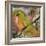 Peridot Bird-Blenda Tyvoll-Framed Giclee Print