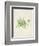 Peridot Seaweed V-Vision Studio-Framed Art Print