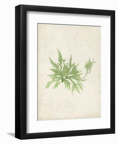 Peridot Seaweed V-Vision Studio-Framed Art Print