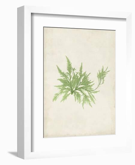 Peridot Seaweed V-Vision Studio-Framed Art Print