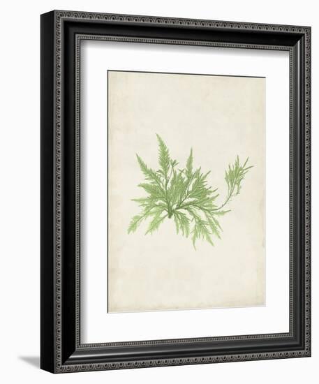 Peridot Seaweed V-Vision Studio-Framed Art Print