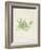 Peridot Seaweed V-Vision Studio-Framed Art Print