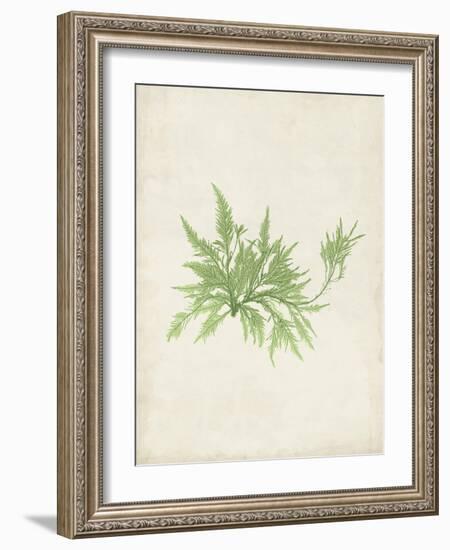 Peridot Seaweed V-Vision Studio-Framed Art Print