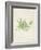 Peridot Seaweed V-Vision Studio-Framed Art Print