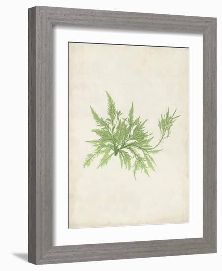 Peridot Seaweed V-Vision Studio-Framed Art Print