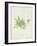 Peridot Seaweed V-Vision Studio-Framed Art Print