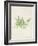 Peridot Seaweed V-Vision Studio-Framed Art Print