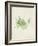 Peridot Seaweed V-Vision Studio-Framed Art Print