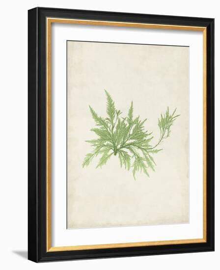 Peridot Seaweed V-Vision Studio-Framed Art Print