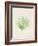 Peridot Seaweed VI-Vision Studio-Framed Art Print