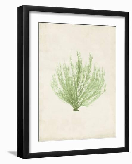 Peridot Seaweed VI-Vision Studio-Framed Art Print