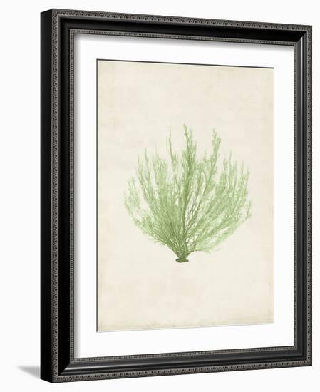 Peridot Seaweed VI-Vision Studio-Framed Art Print