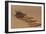 Peringuey's Adder Side-winding-Tony Camacho-Framed Photographic Print