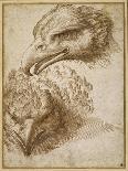 Drawing for a Dish: Mythological and Marine Animals-Perino Del Vaga-Framed Giclee Print