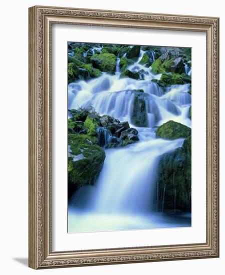 Periodic Spring During Period of High Flow, Salt River Range, Bridger-Teton National Forest, WY-Scott T. Smith-Framed Photographic Print