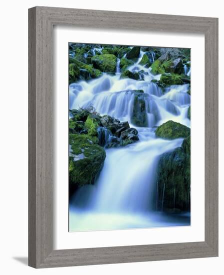 Periodic Spring During Period of High Flow, Salt River Range, Bridger-Teton National Forest, WY-Scott T. Smith-Framed Photographic Print