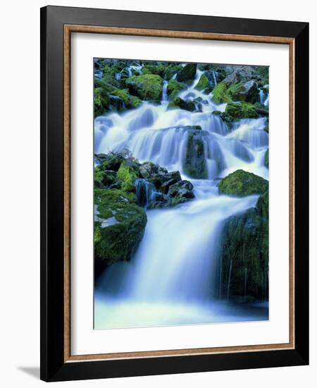 Periodic Spring During Period of High Flow, Salt River Range, Bridger-Teton National Forest, WY-Scott T. Smith-Framed Photographic Print