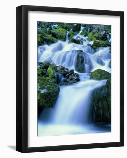 Periodic Spring During Period of High Flow, Salt River Range, Bridger-Teton National Forest, WY-Scott T. Smith-Framed Photographic Print