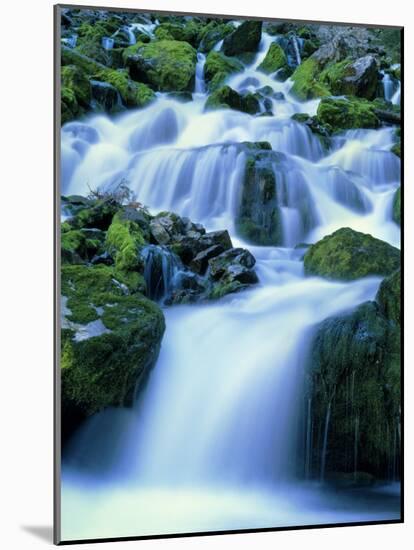 Periodic Spring During Period of High Flow, Salt River Range, Bridger-Teton National Forest, WY-Scott T. Smith-Mounted Photographic Print