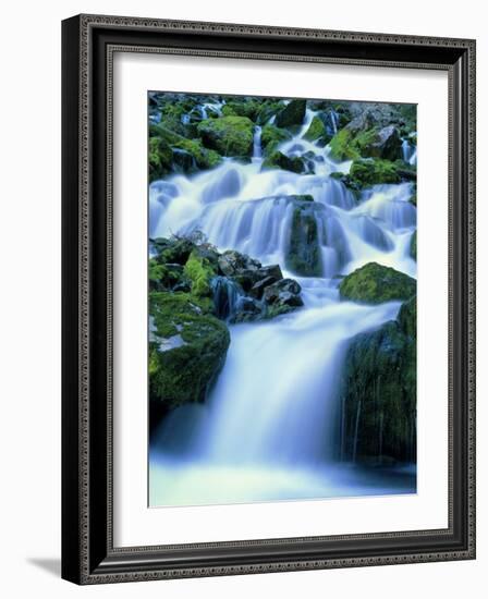 Periodic Spring During Period of High Flow, Salt River Range, Bridger-Teton National Forest, WY-Scott T. Smith-Framed Photographic Print